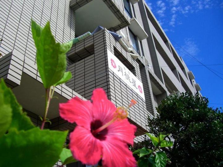 Shimayado Gettoya Ishigaki  المظهر الخارجي الصورة